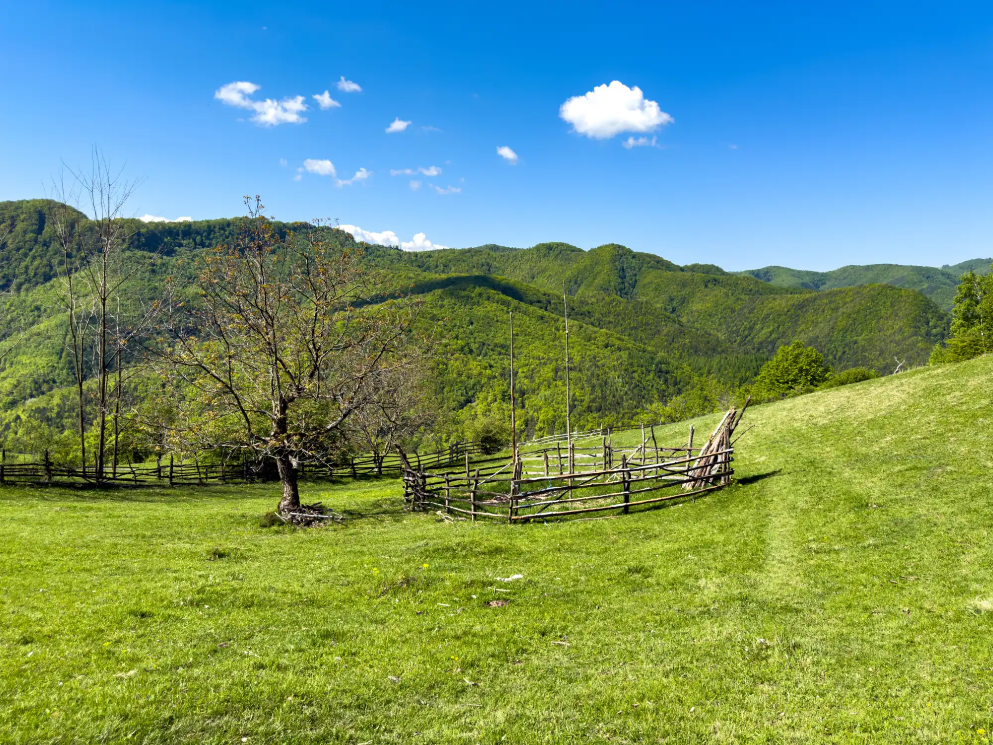 Traseu Cioclovina — Piatra Roșie