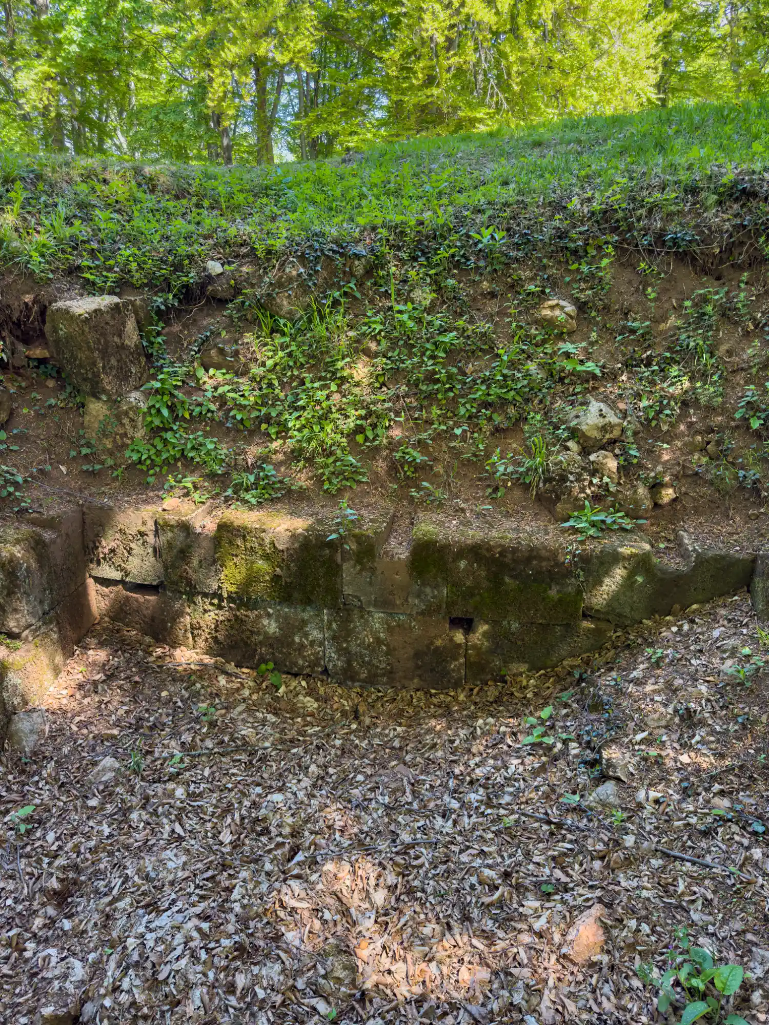 Traseu Cioclovina — Piatra Roșie