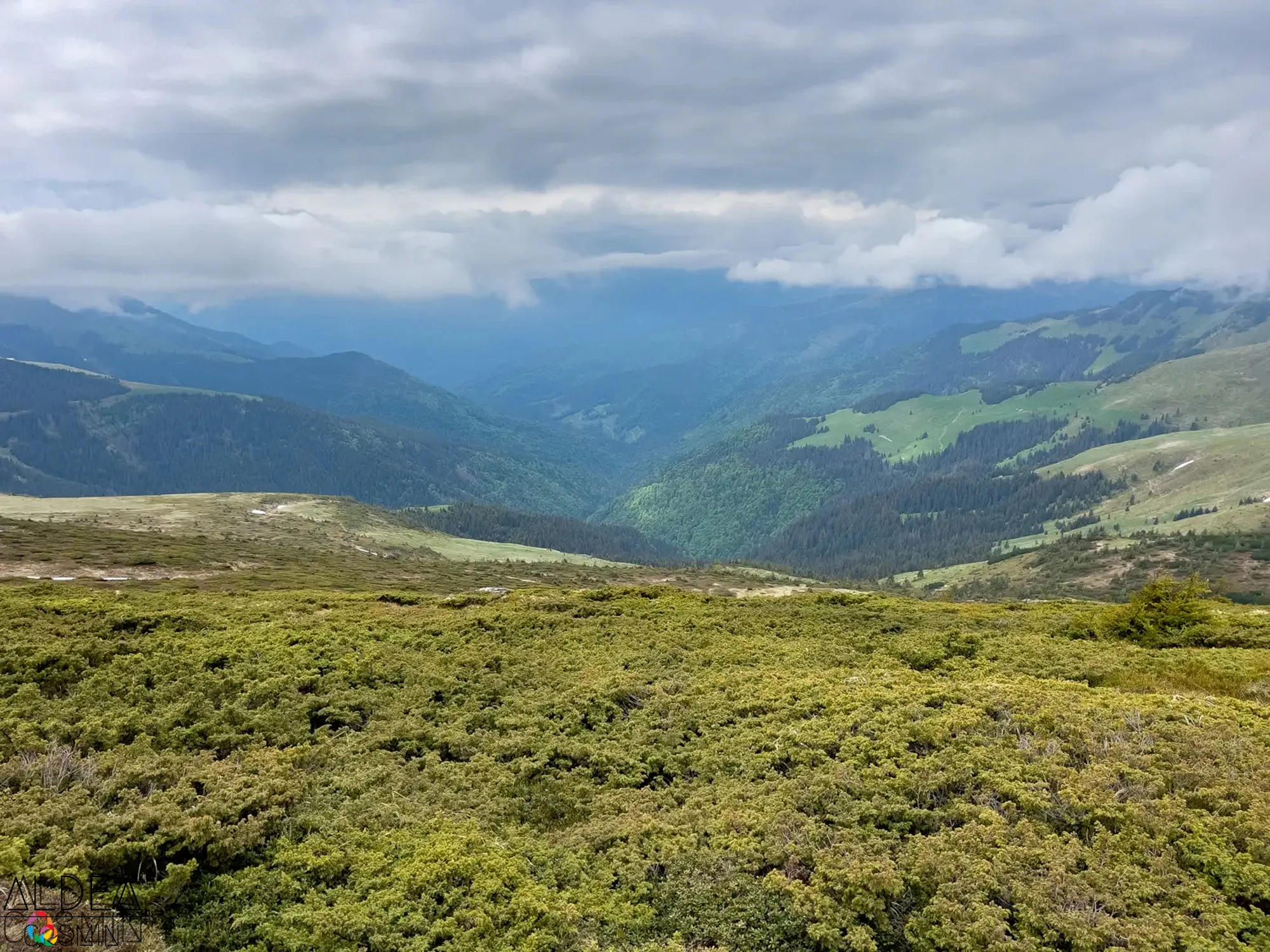 Traseu spre Vârful Gărgălău