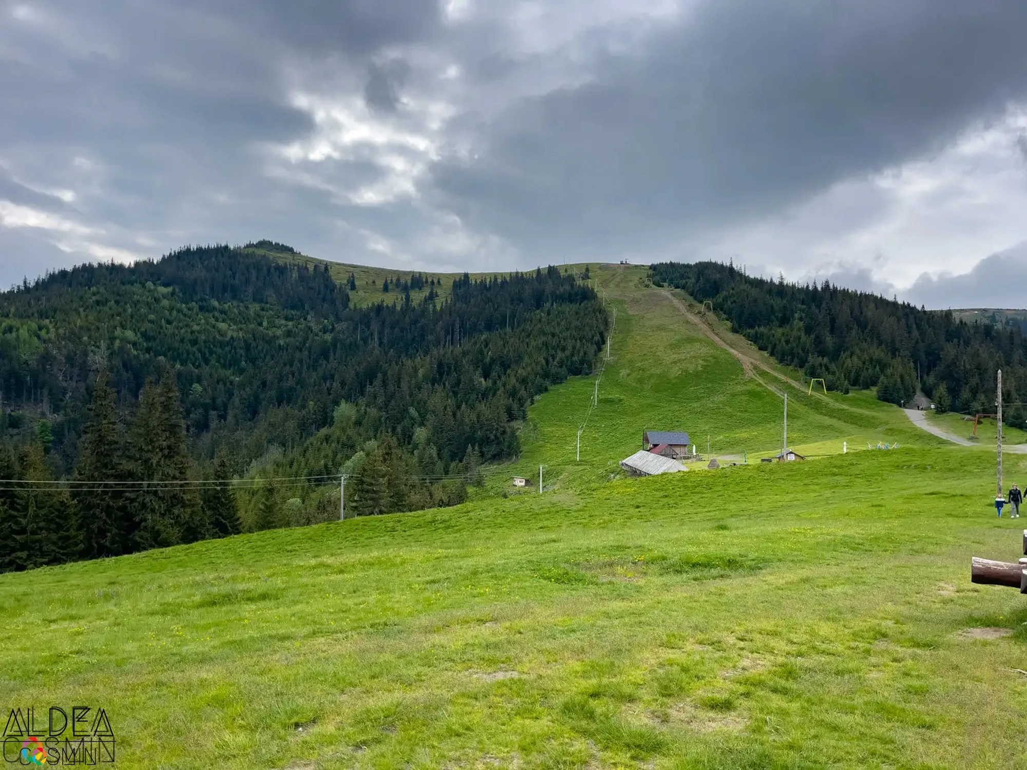 Traseu spre Vârful Gărgălău