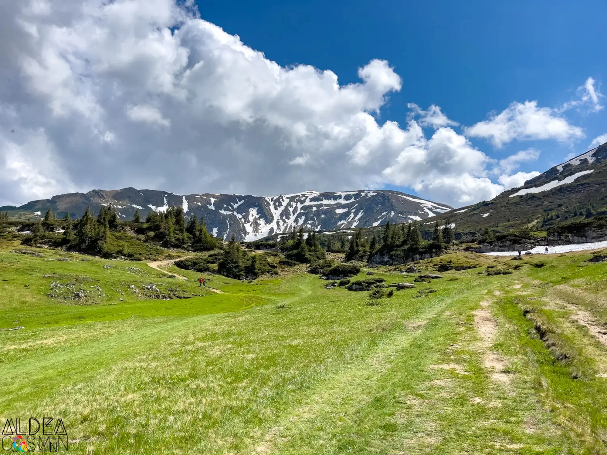 Traseu spre Vârful Gărgălău