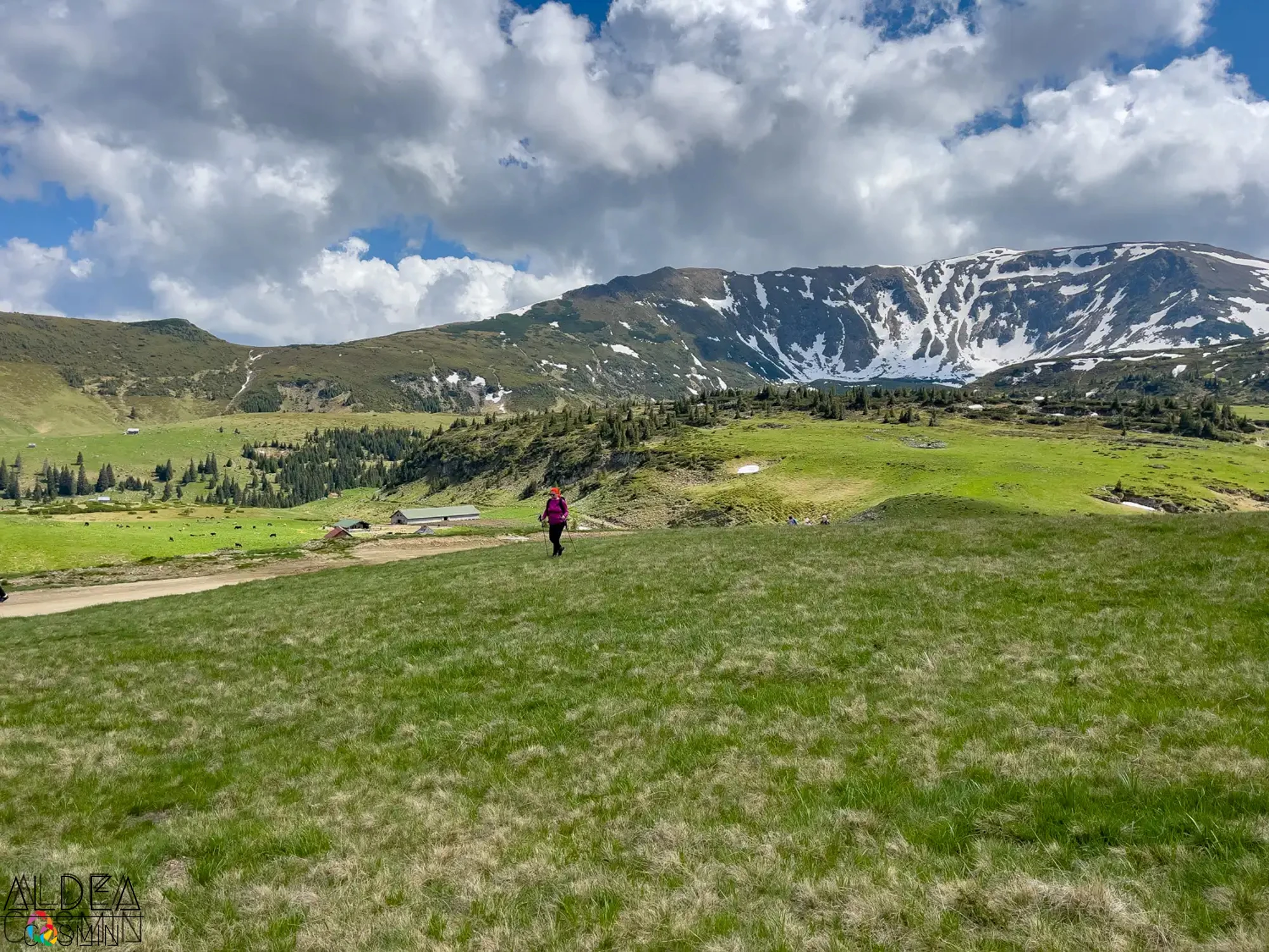 Traseu spre Vârful Gărgălău