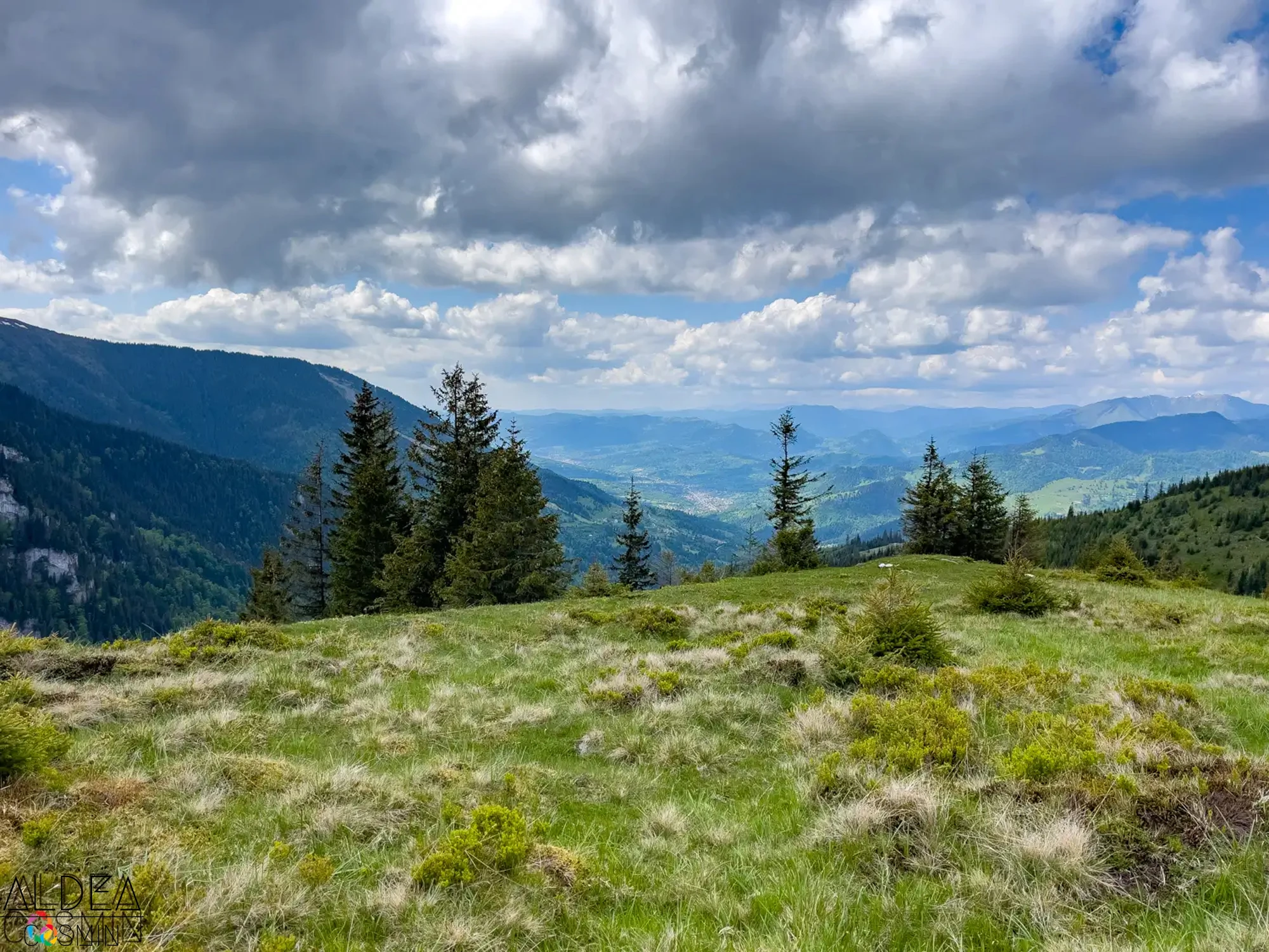 Traseu spre Vârful Gărgălău