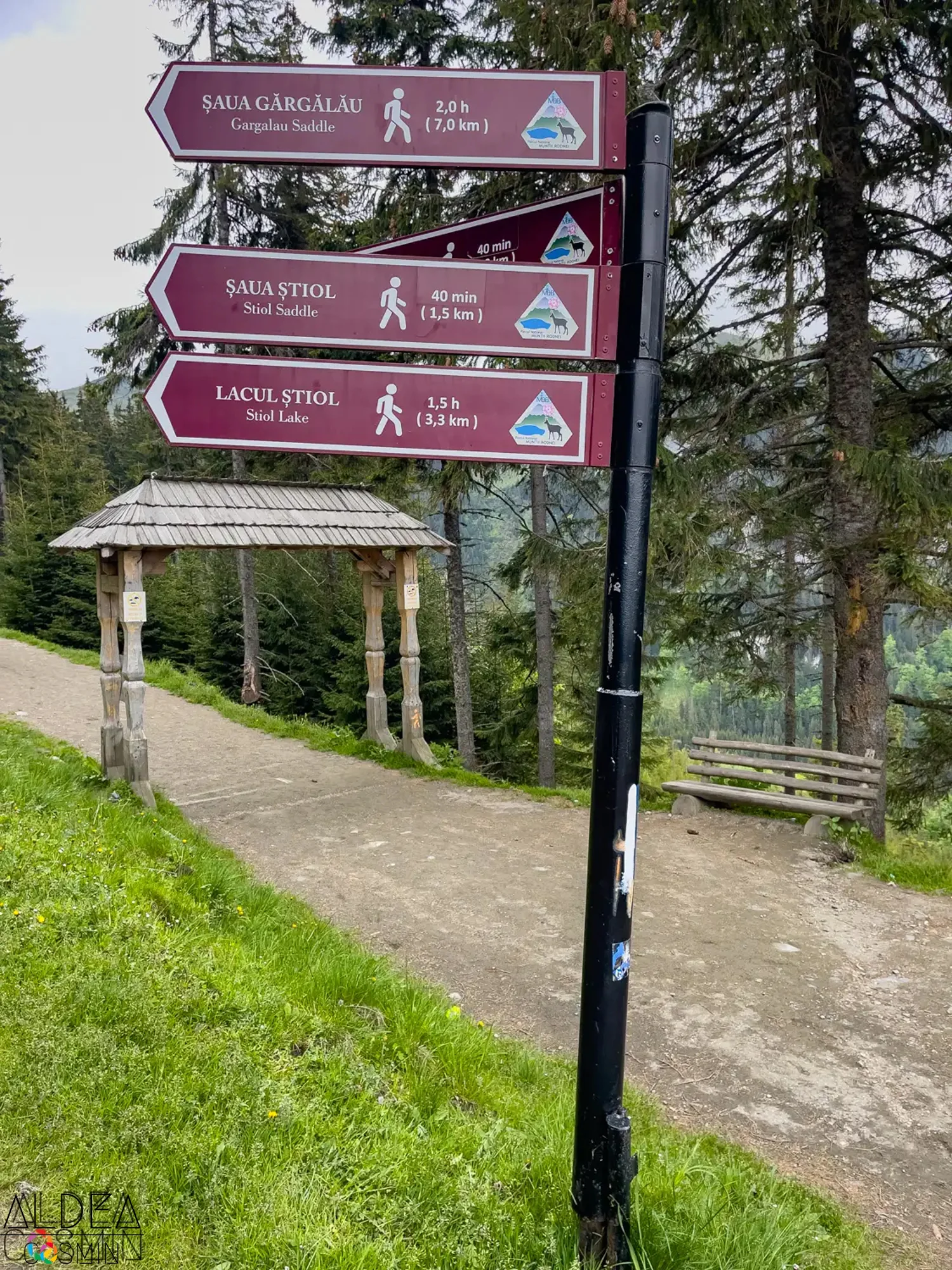 Traseu spre Vârful Gărgălău