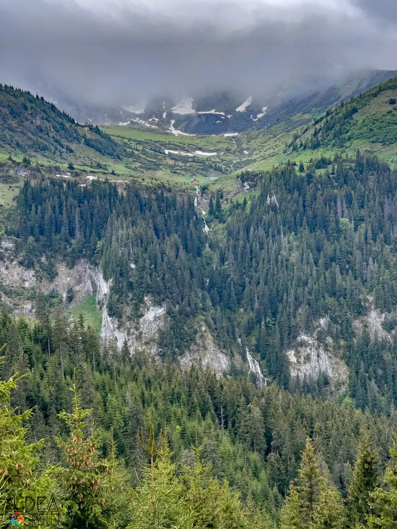 Traseu spre Vârful Gărgălău