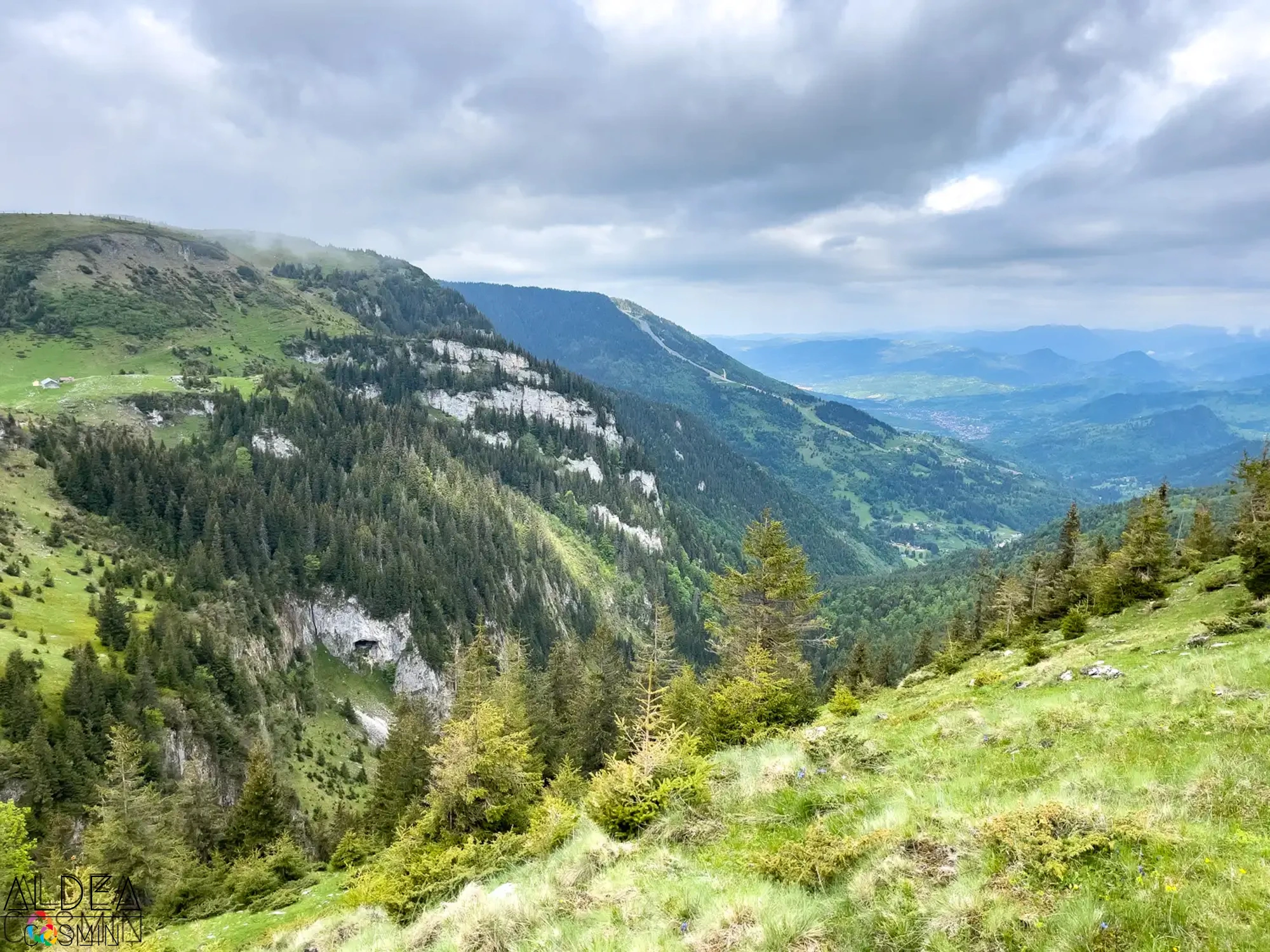 Traseu spre Vârful Gărgălău