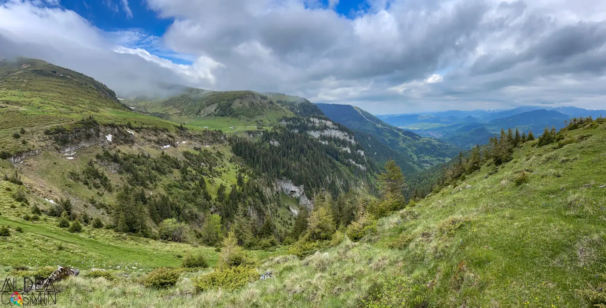 Traseu spre Vârful Gărgălău