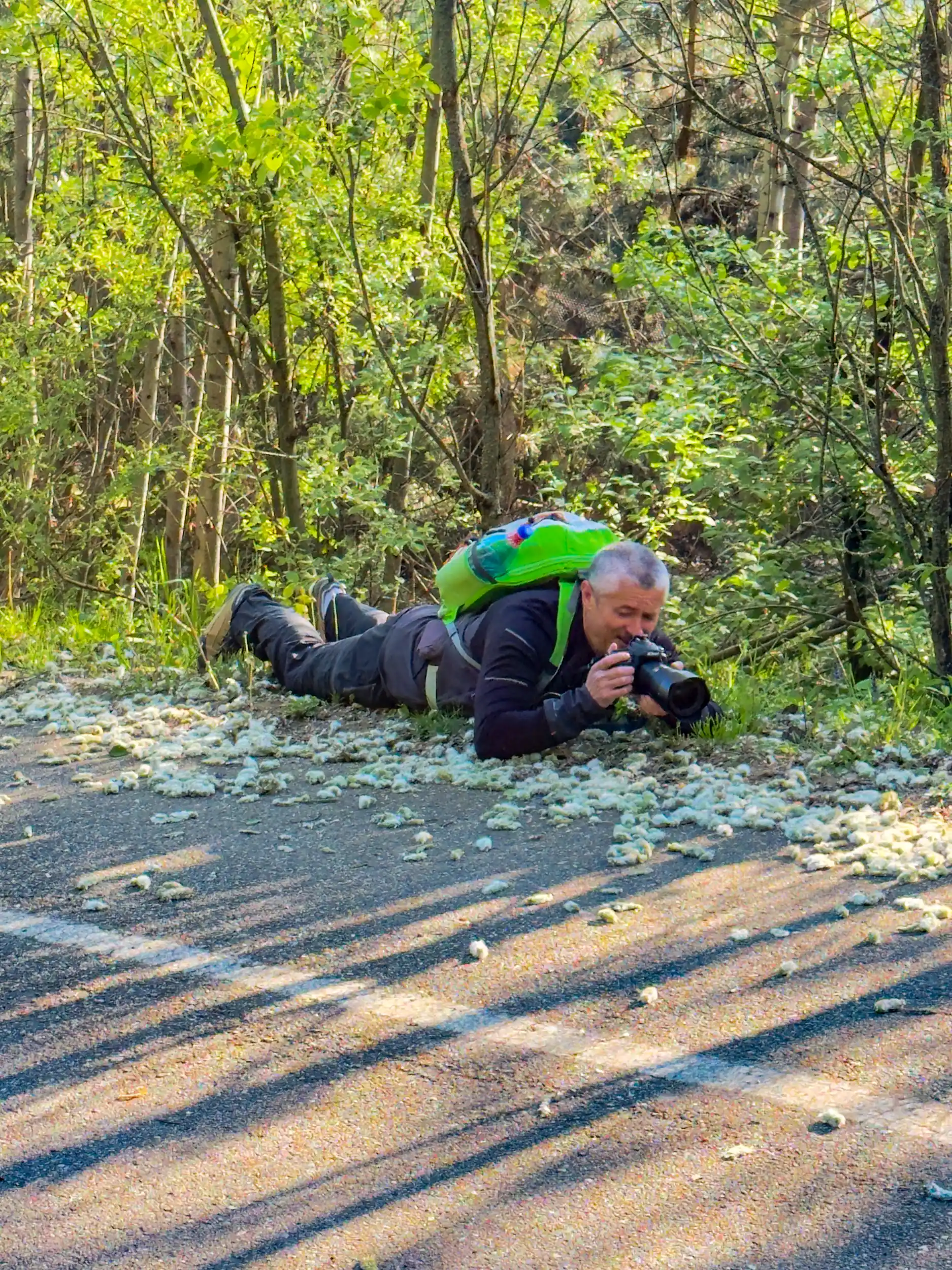 Releul de la Dealu Stanii