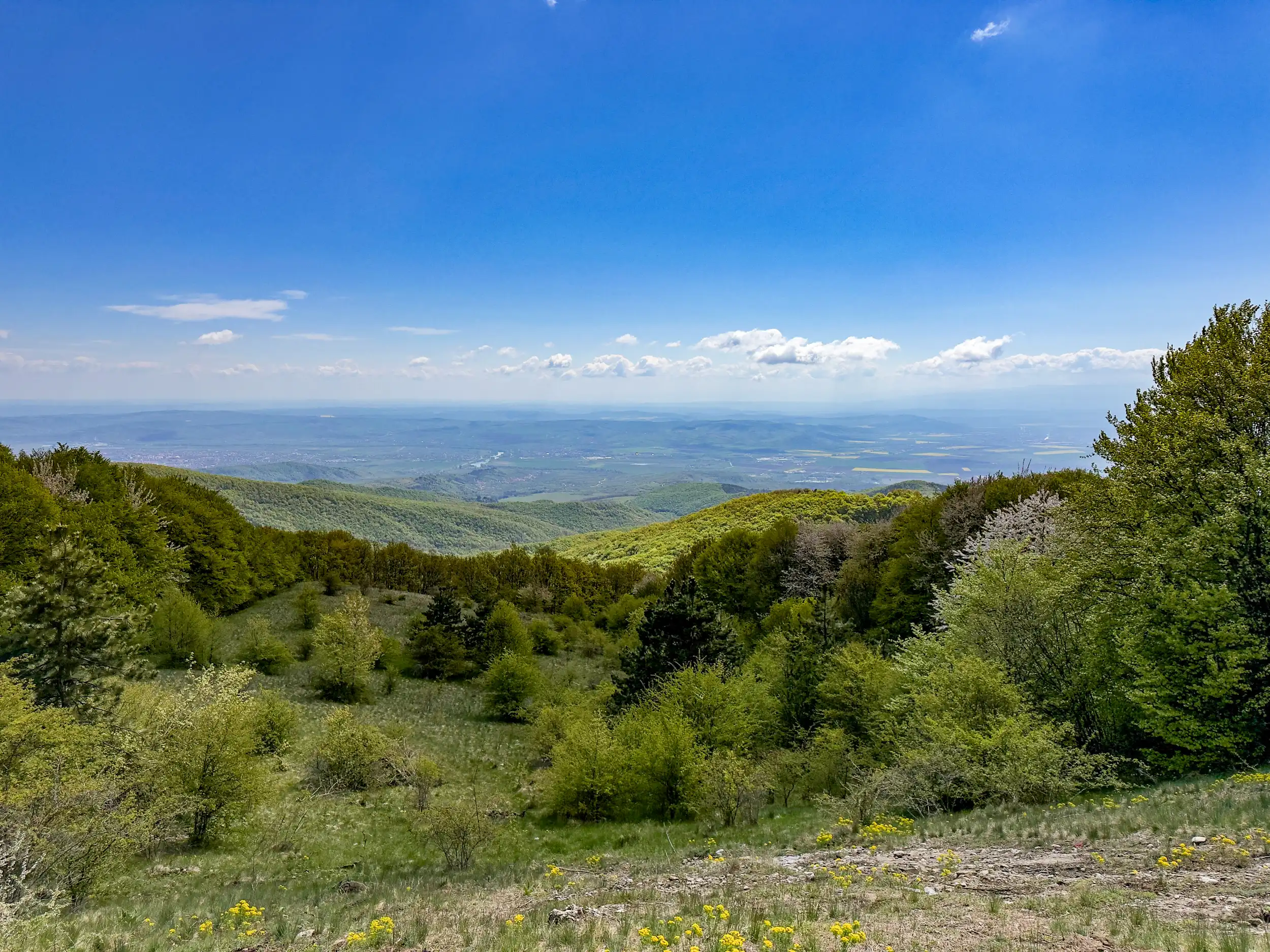 Dealu Stanii, Trascău