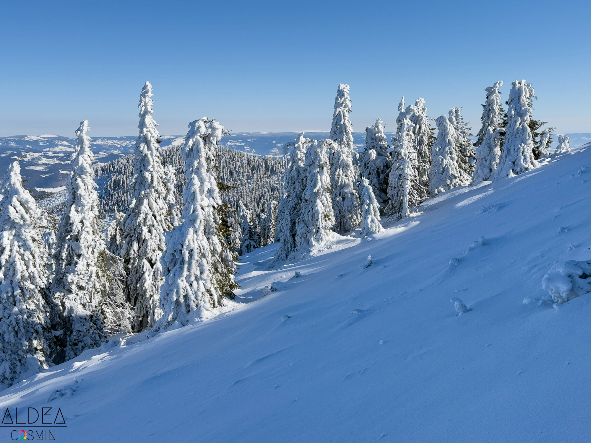 Traseu Varful Bihor