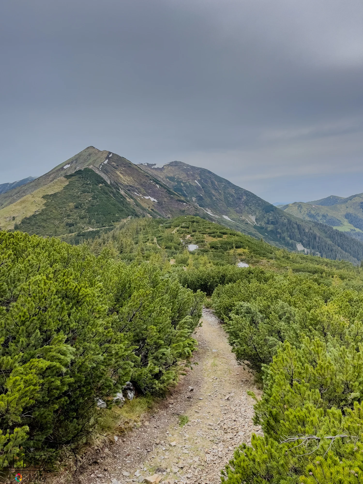 Toroioaga, Maramureș
