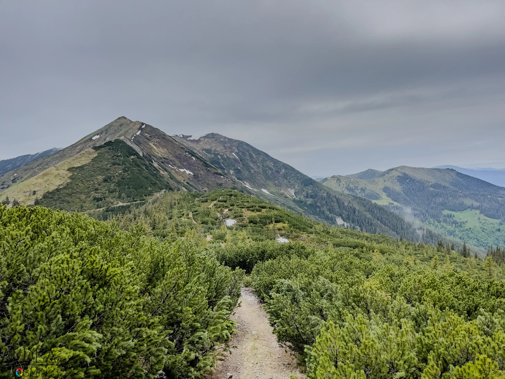 Toroioaga, Maramureș