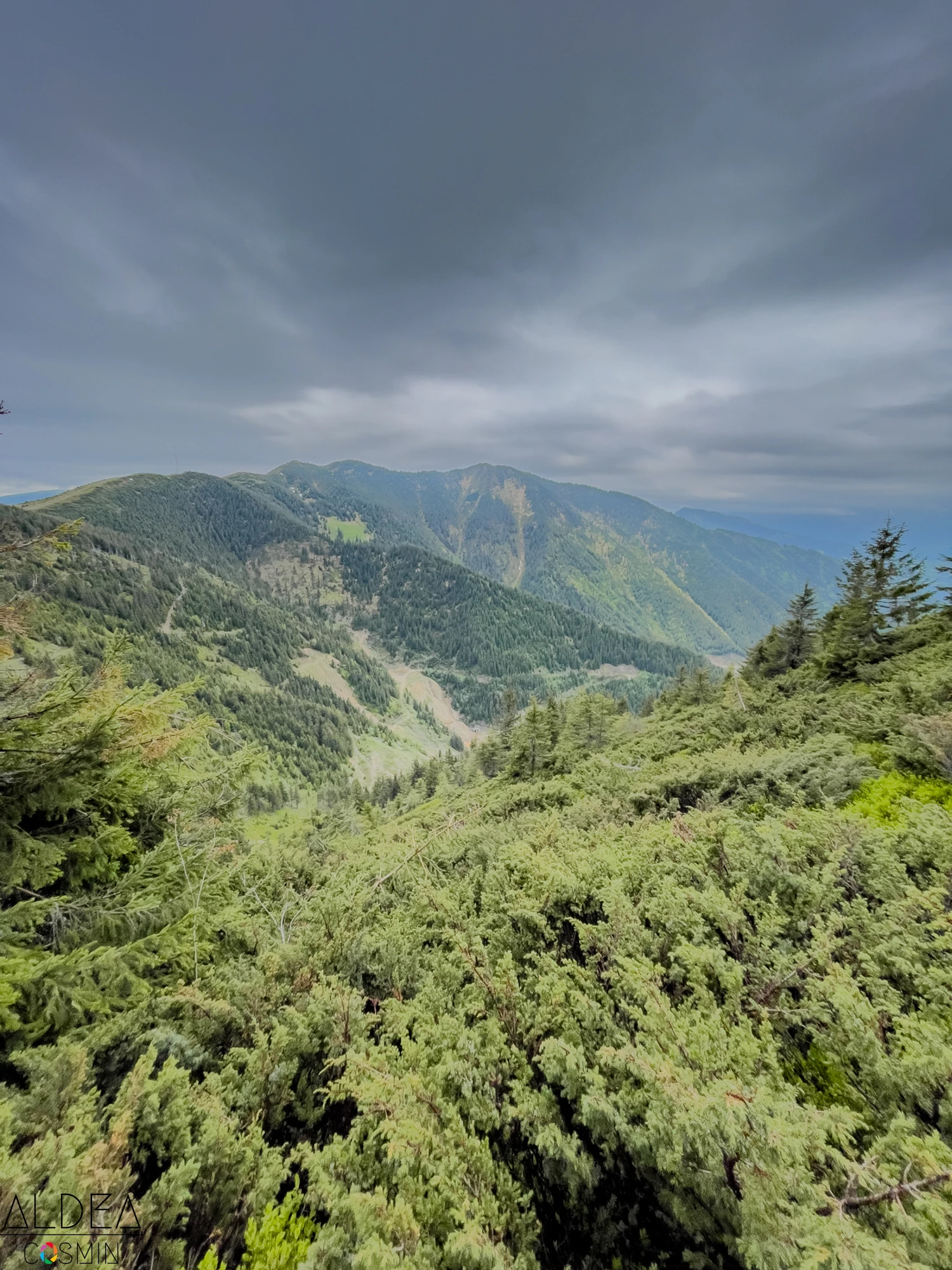 Toroioaga, Maramureș