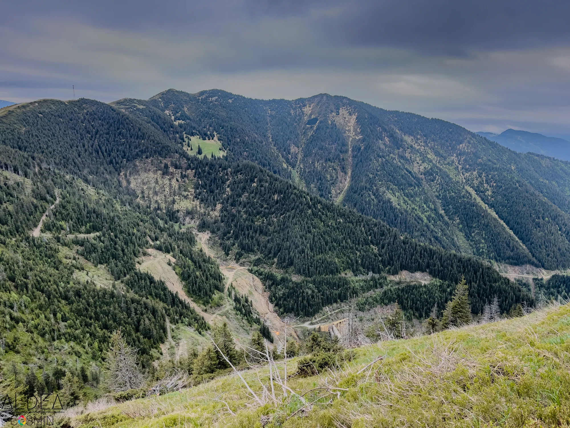 Toroioaga, Maramureș