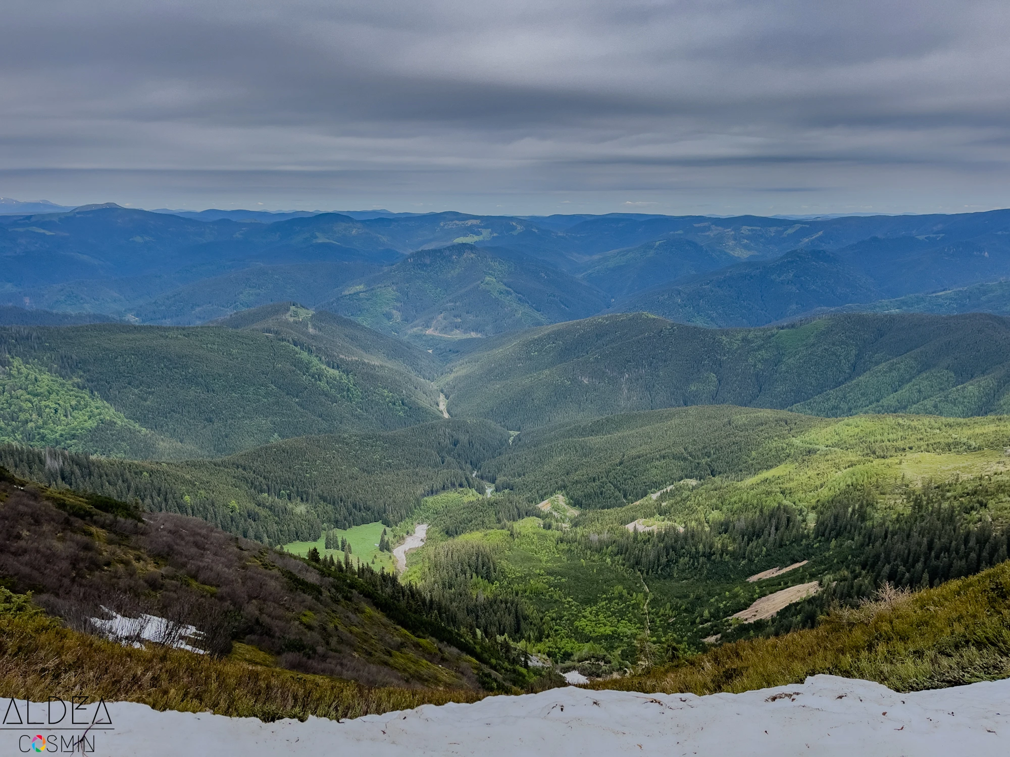 Toroioaga, Maramureș