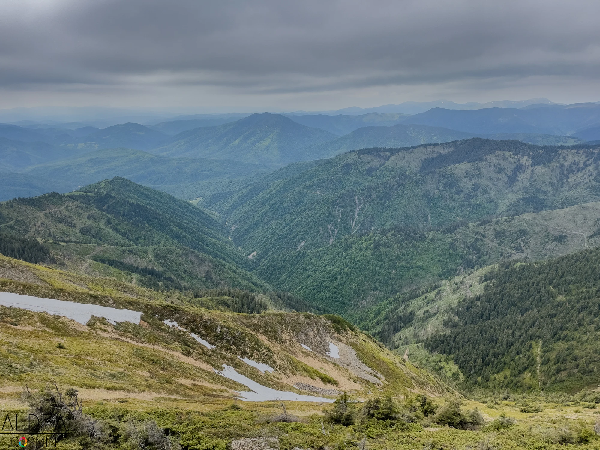 Toroioaga, Maramureș