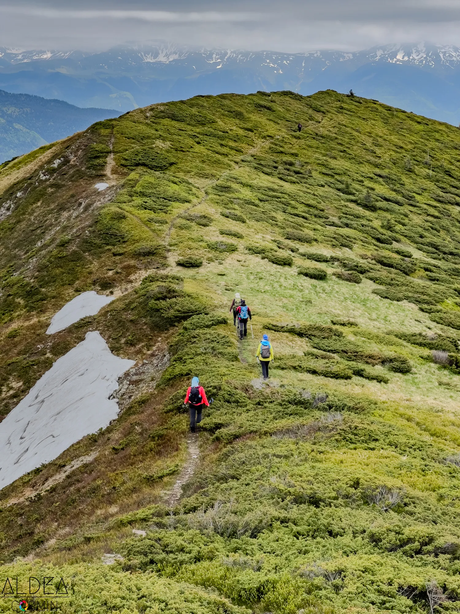 Toroioaga, Maramureș
