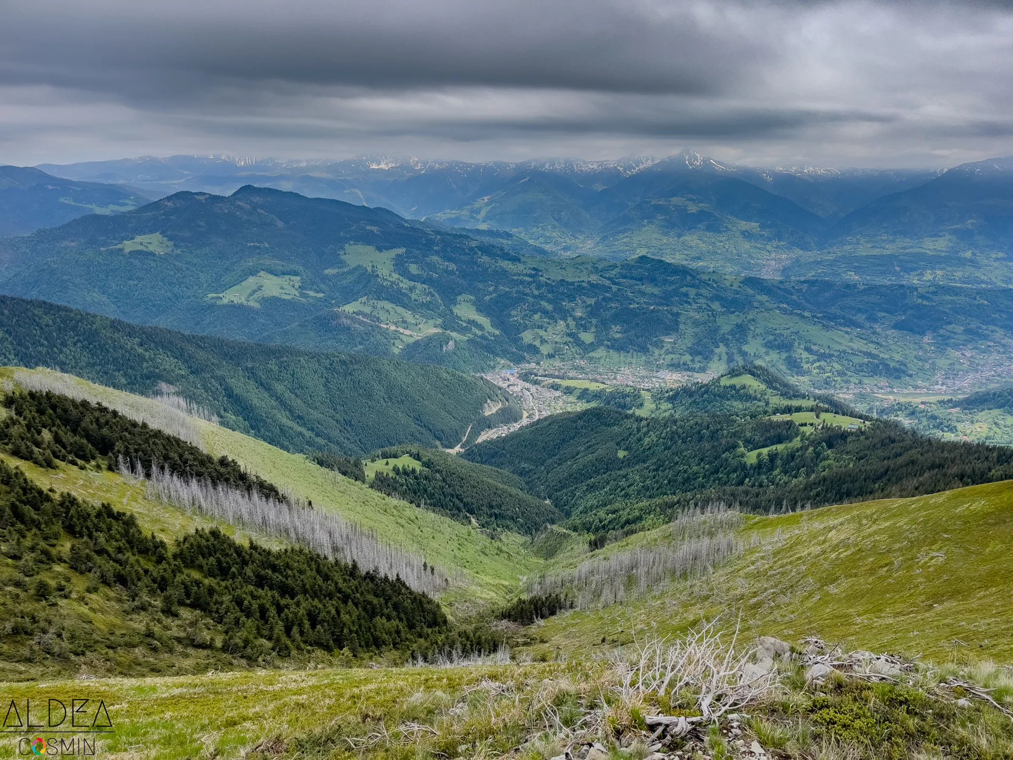 Toroioaga, Maramureș
