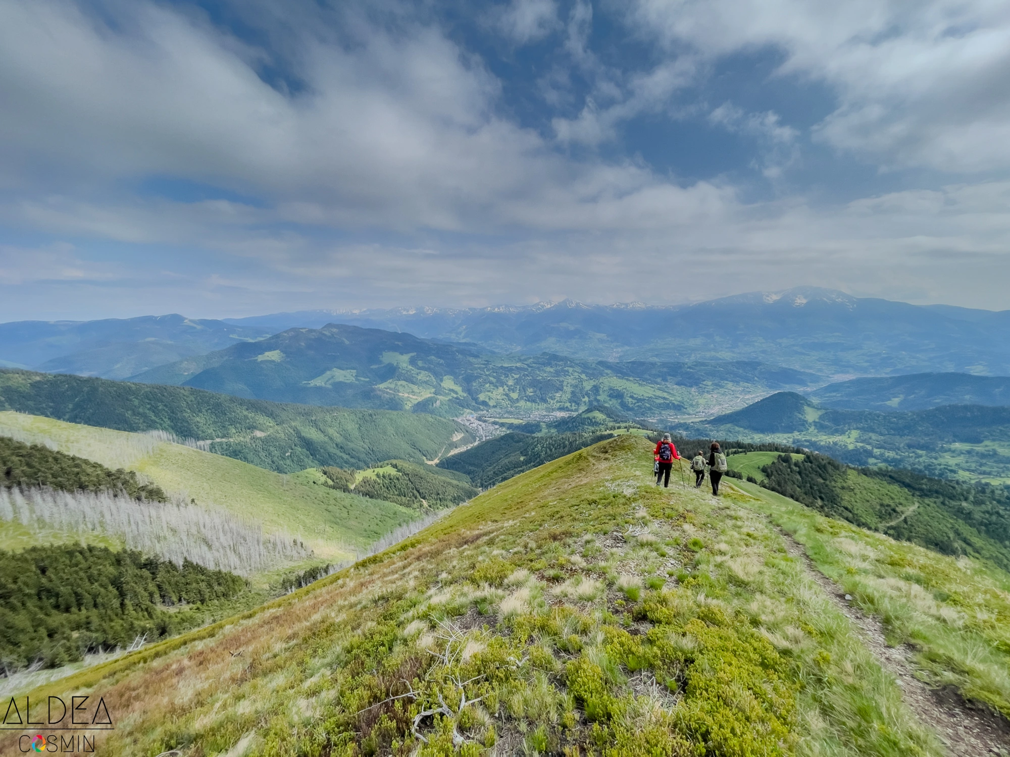 Toroioaga, Maramureș