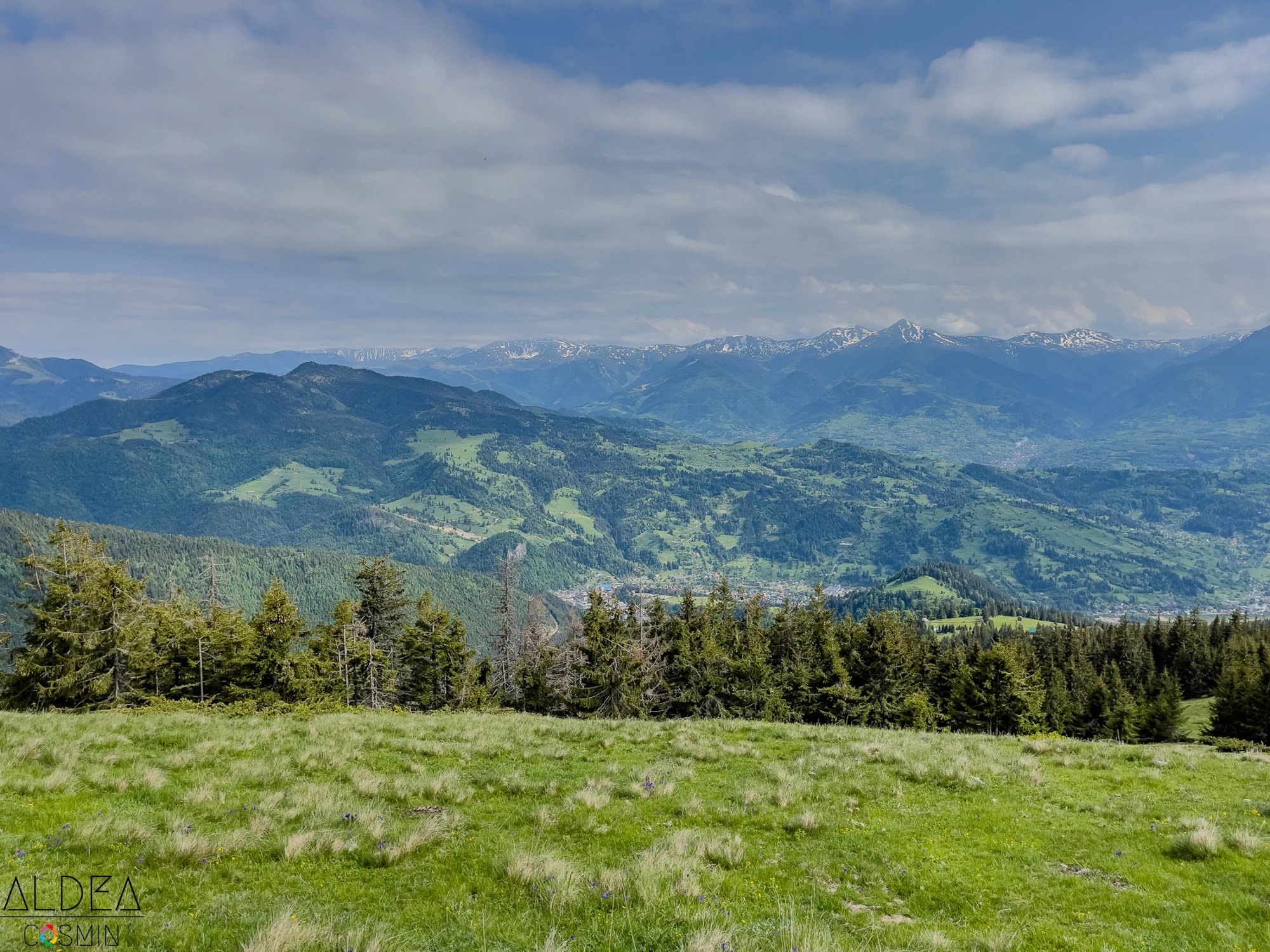 Toroioaga, Maramureș
