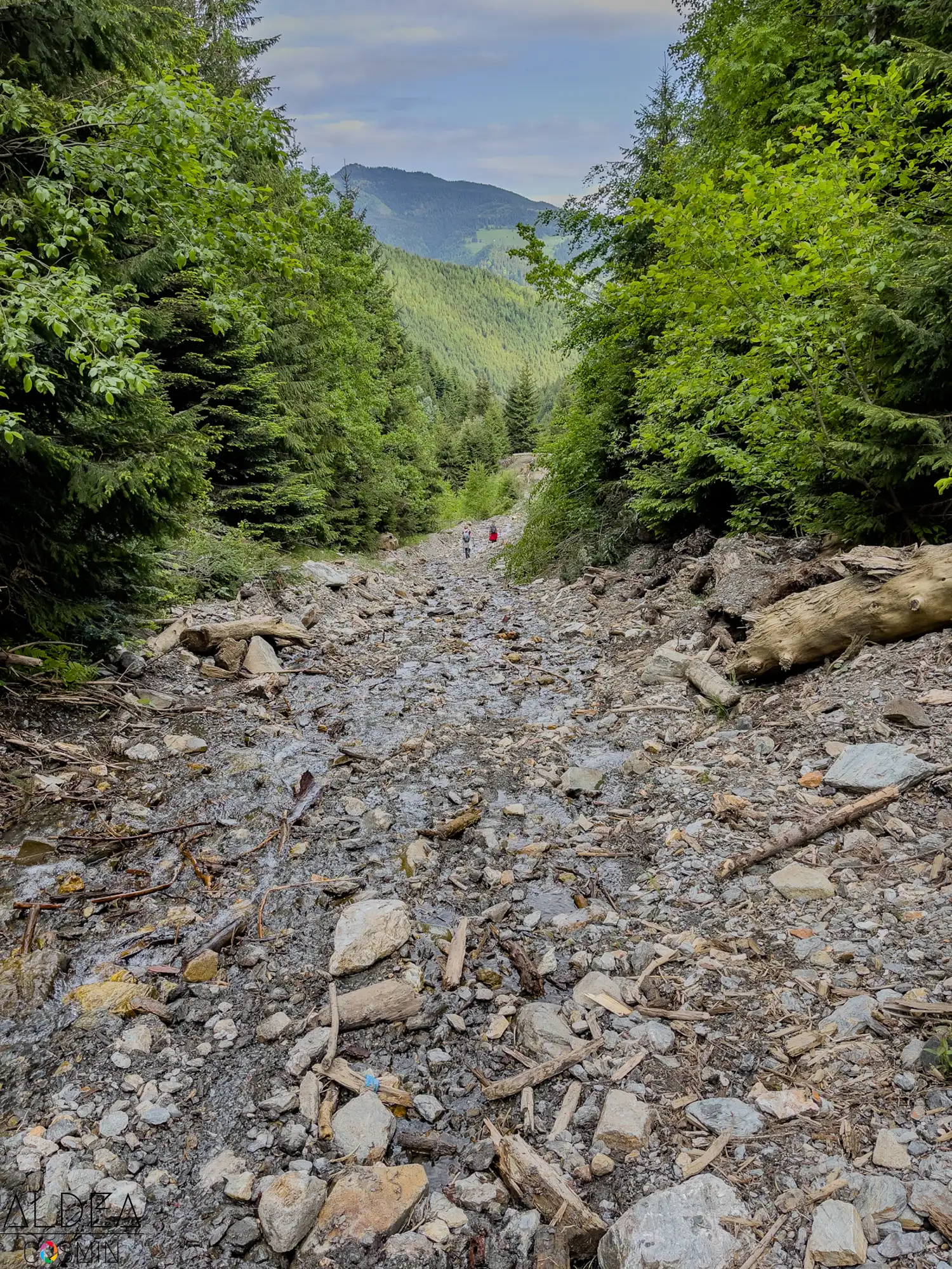 Toroioaga, Maramureș