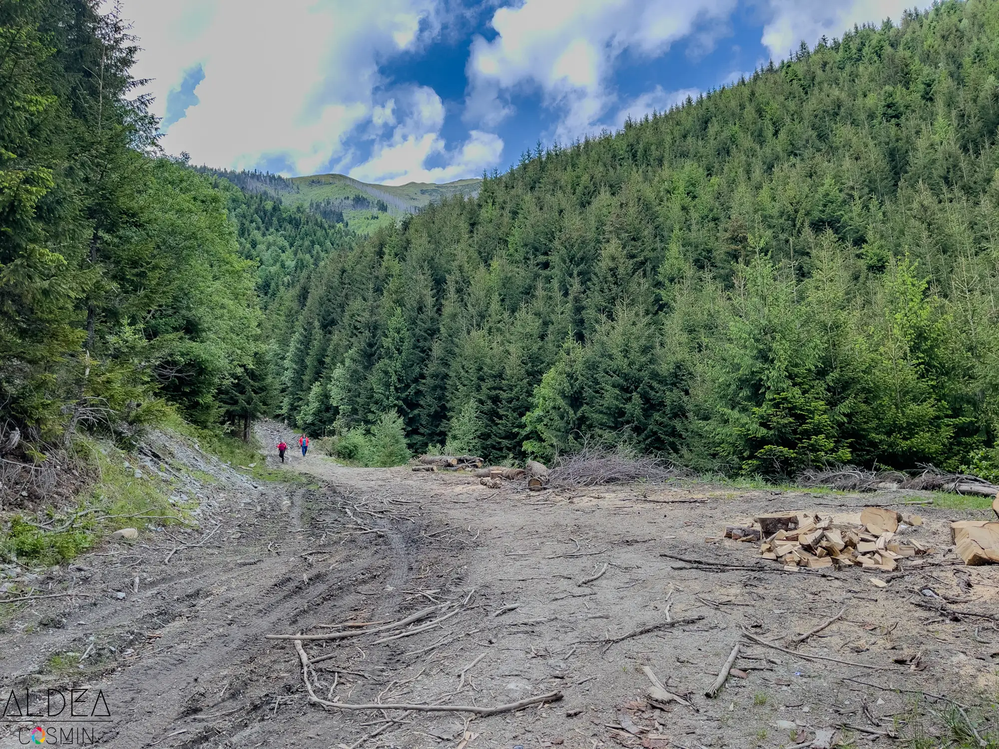 Toroioaga, Maramureș