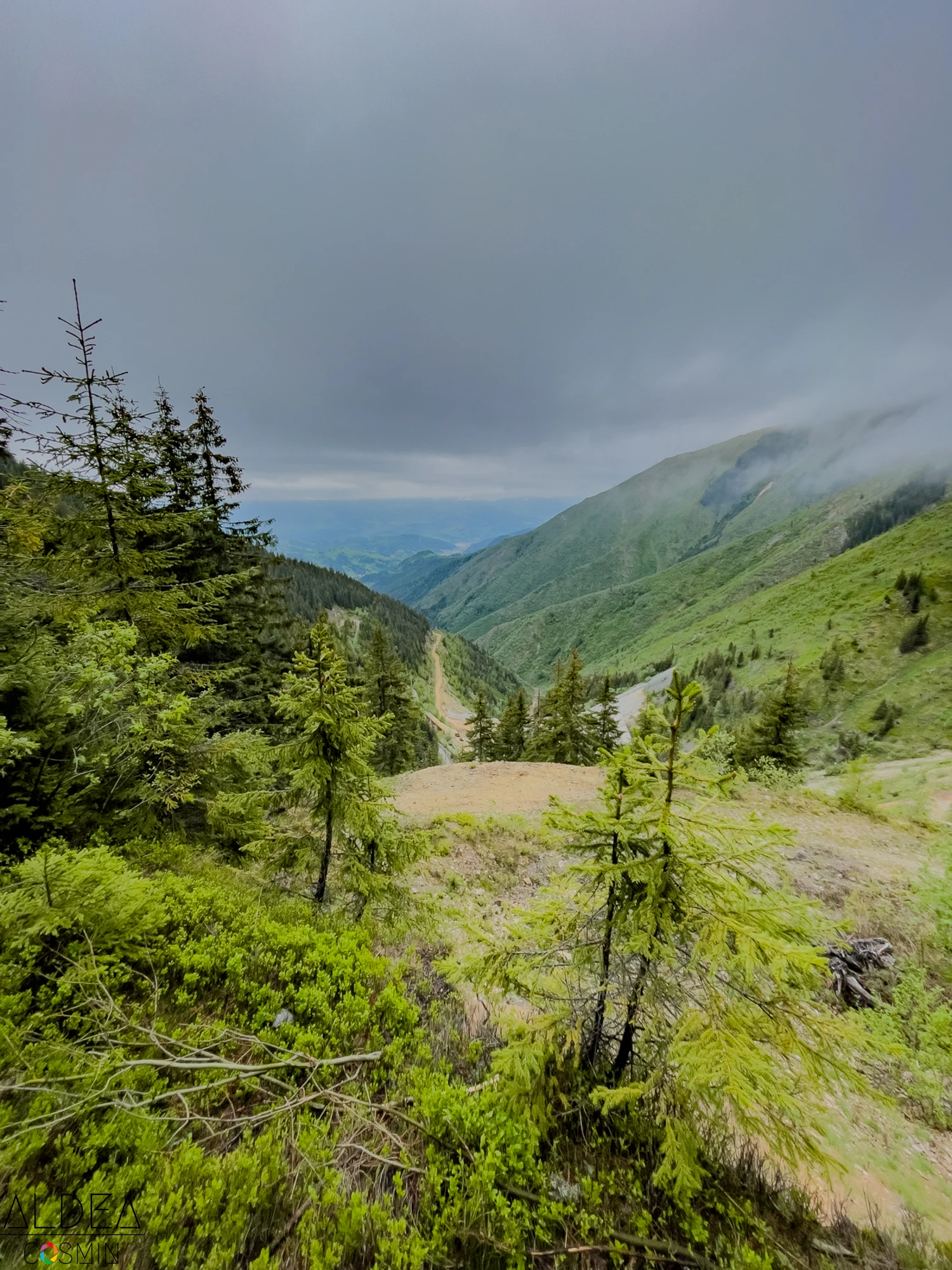 Toroioaga, Maramureș