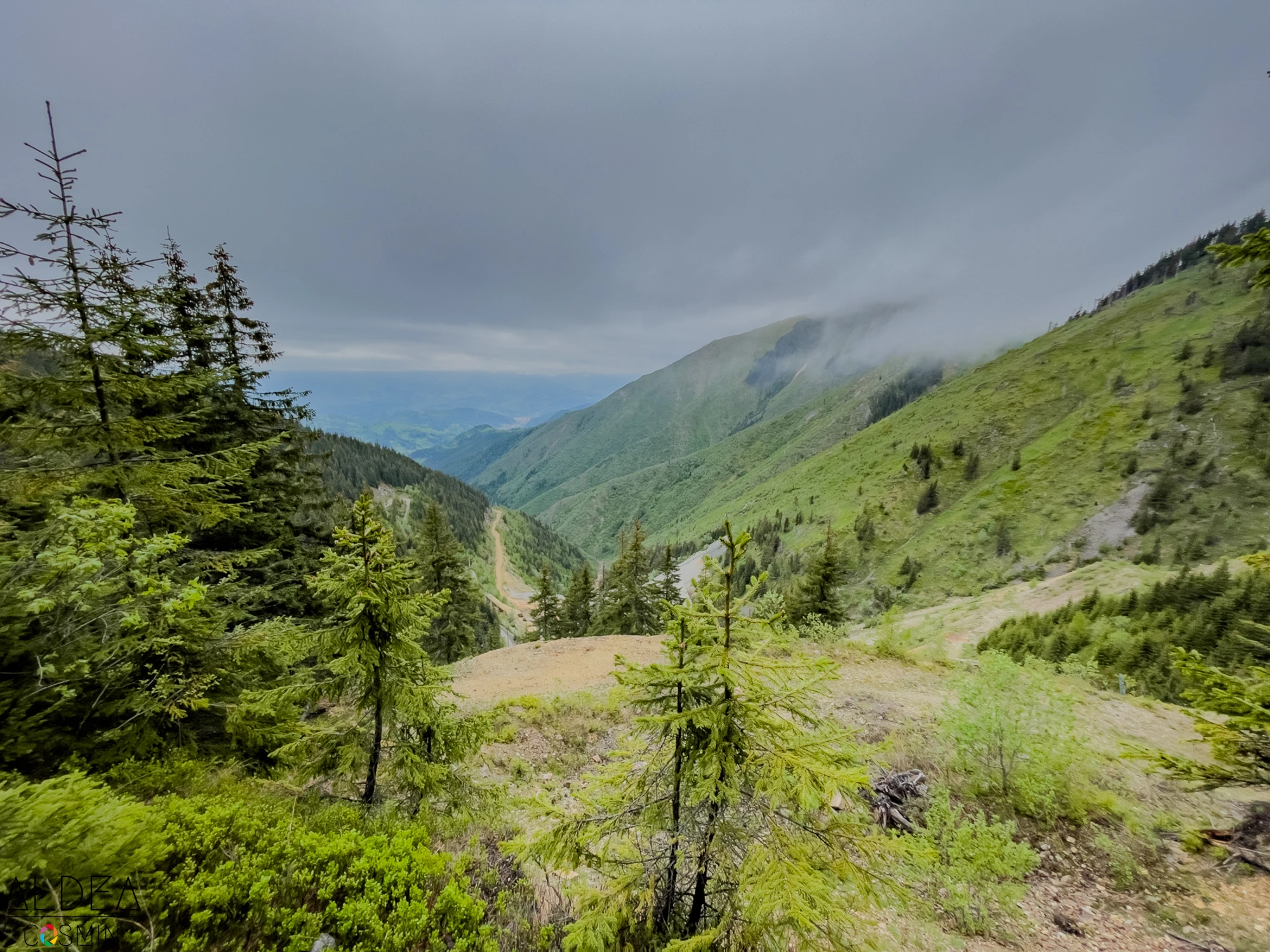 Toroioaga, Maramureș