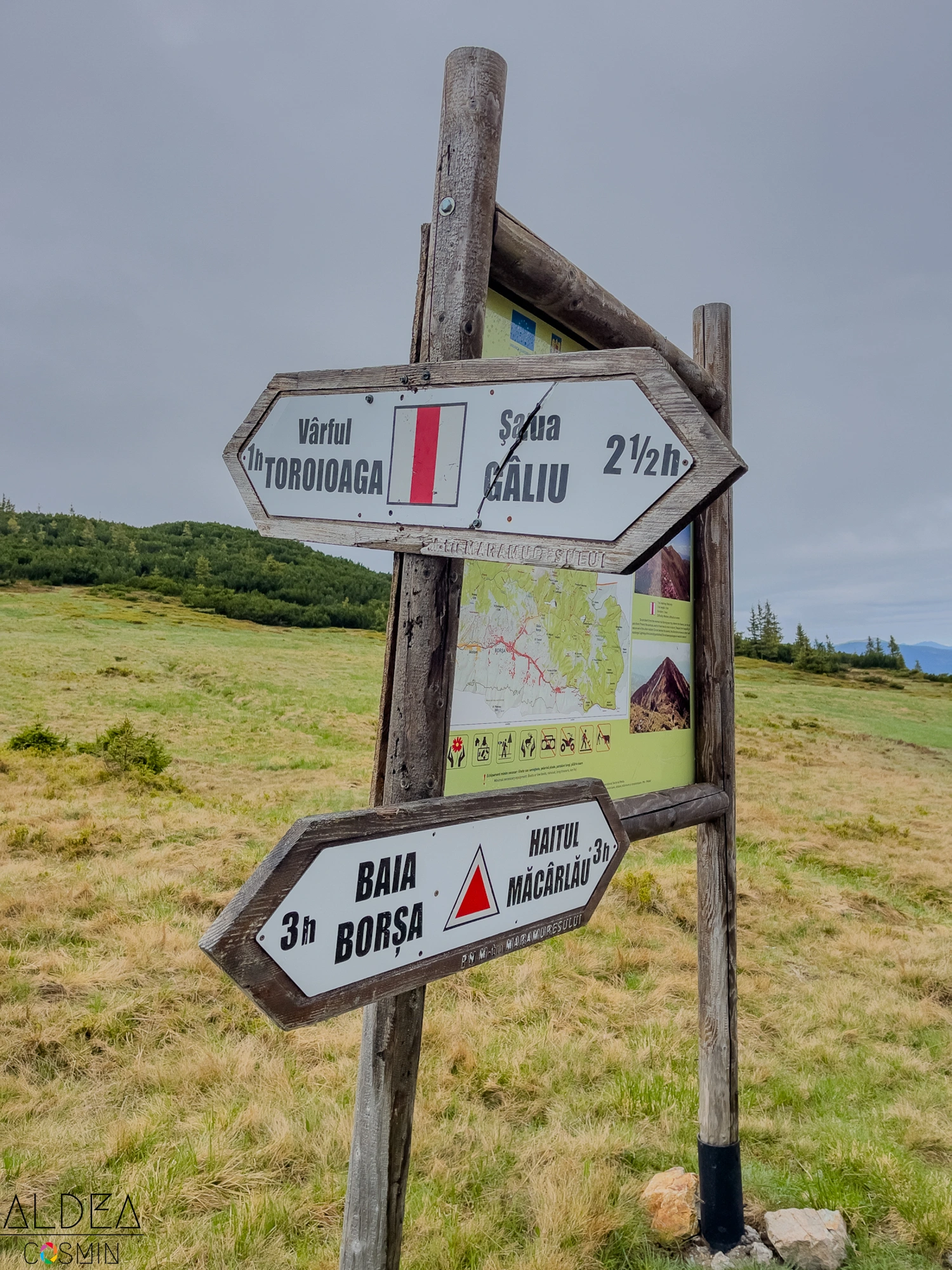 Toroioaga, Maramureș