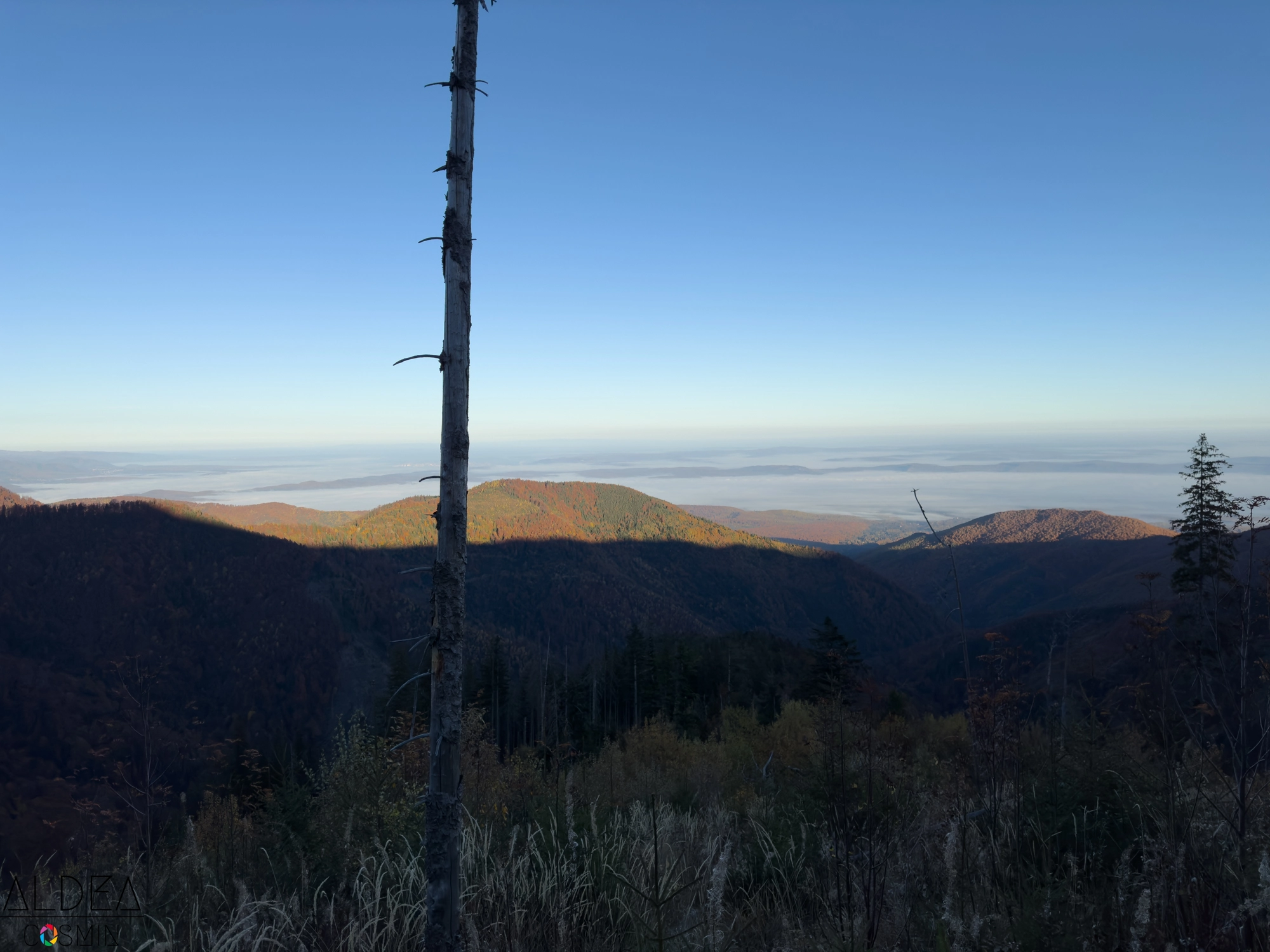 Traseu Vârful Ciortea