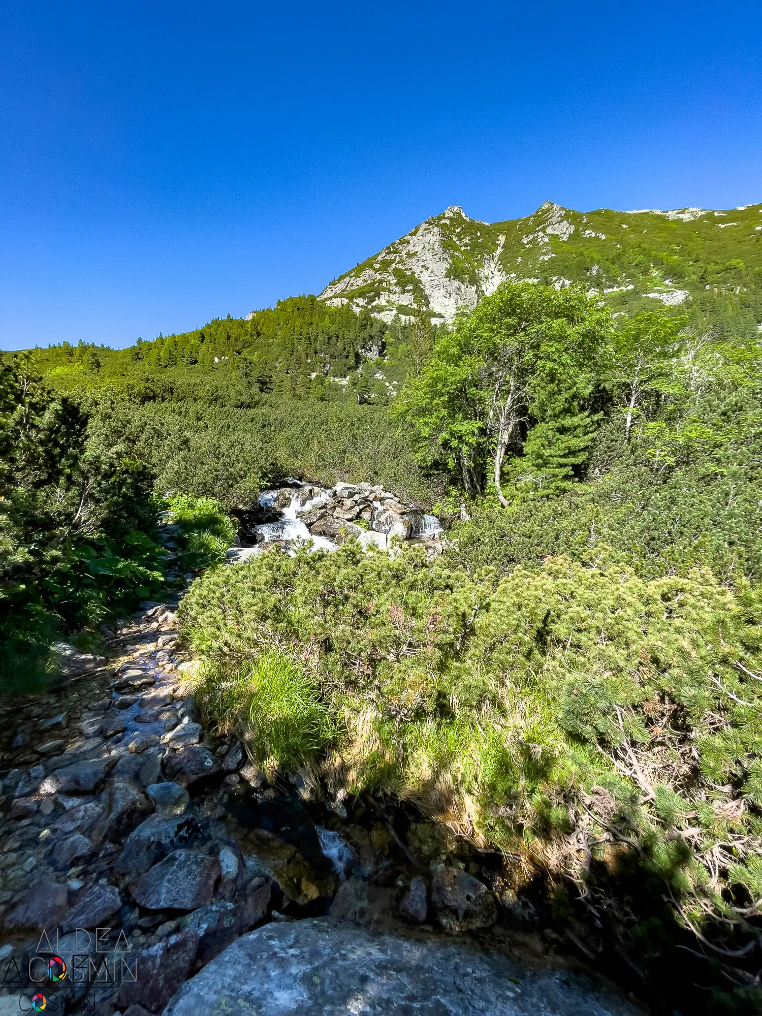 Traseu Vârful Peleaga