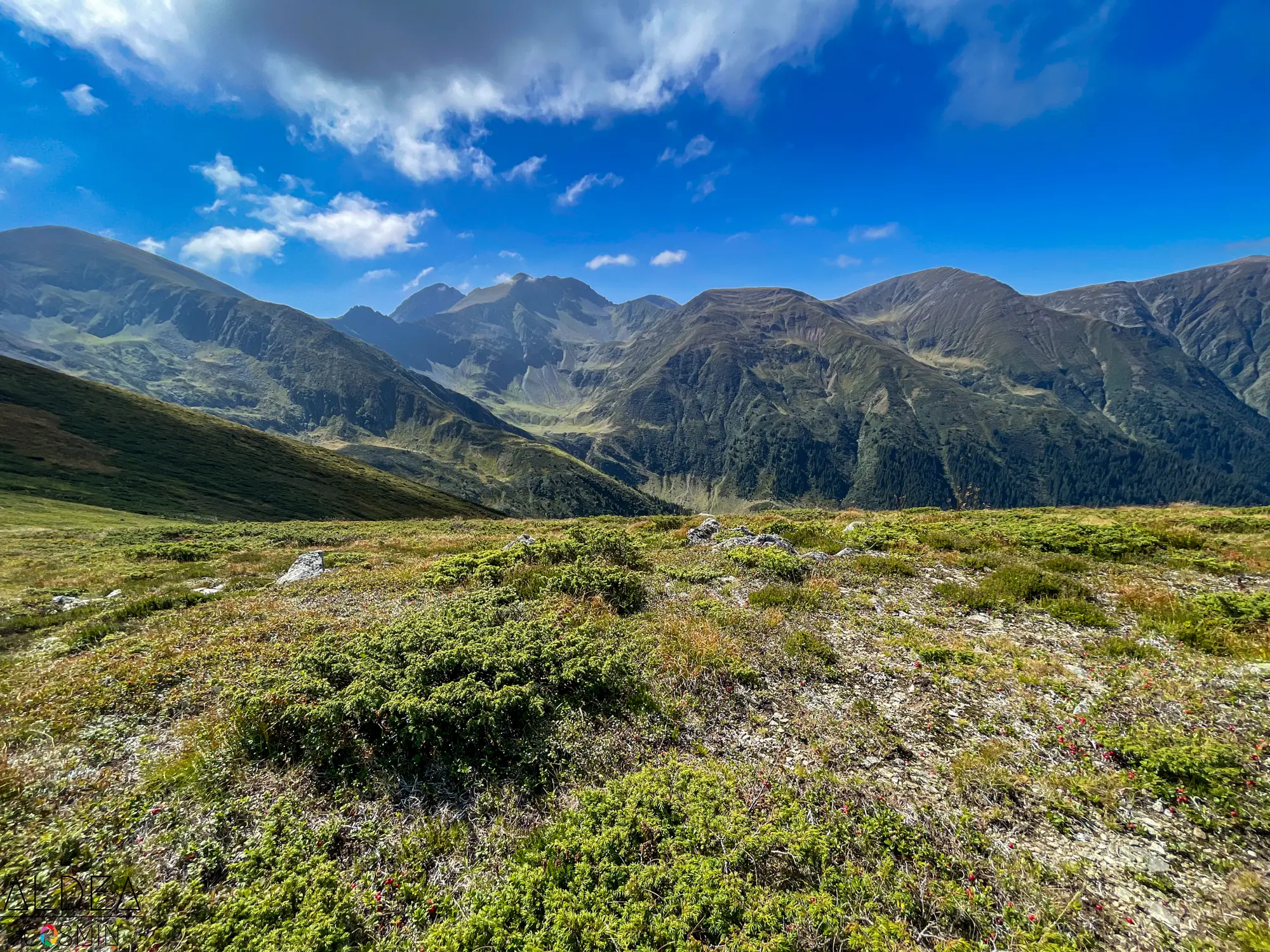 Vârful Scara